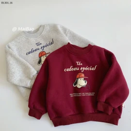 ÁO HOODIE CHO BÉ BCZY-sỉ 150k