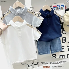 BST ÁO POLO CỘC TAY NHÀ KACADY-Sỉ 92k