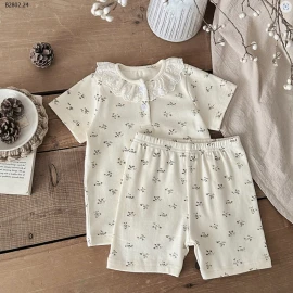 BỘ NGỦ HOA NHÍ VIỀN BÈO-sỉ 139k