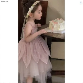 VÁY HỒNG CÔNG CHÚA-sỉ 290k