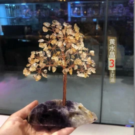 CÂY PHÁT TÀI-sỉ 175k