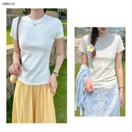 ÁO CỘC TAY NỮ -sỉ 108k