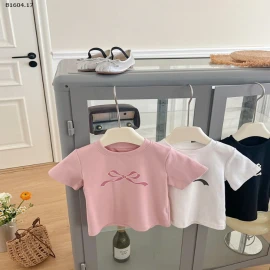 ÁO PHÔNG NƠ AMBB- sỉ 83k