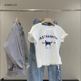 ÁO THUN HỌA TIẾT CHO NỮ -sỉ 175k