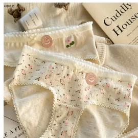 QUẦN LÓT  , QUẦN LÓT CHẤT COTTON XỐP MỀM MỊN- Sỉ giá 118k/1 set 10 chiếc mix màu