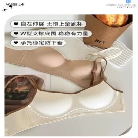 Áo lót nâng ngực cho nữ-Sỉ giá 73k/1 chiếc 
