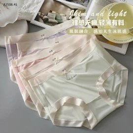 SET 10 QUẦN LÓT LỤA BĂNG NỮ -Giá sỉ 106k/set 10c mix màu