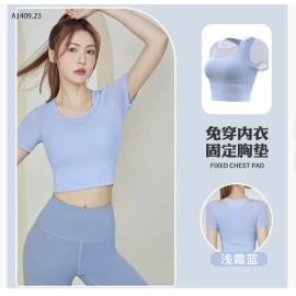 ÁO THUN THỂ THAO BÓ SÁT TAY NGẮN THOÁNG KHÍ KÈM MÚT - sỉ 125k