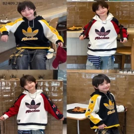 HOODIE NỈ 3 LÁ BÉ TRAI-Giá sỉ 232k