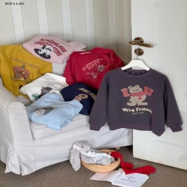 Áo nỉ chui đầu phong cách Hàn Quốc NHÀ AMBB- Giá sỉ  sz 90-150: 163k  sz 160: 175k  sz 170 : 190k