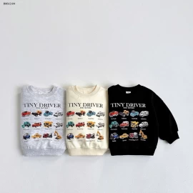 ÁO NỈ IN HÌNH CHO BÉ-sỉ 177k