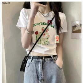 ÁO PHÔNG CROPTOP-Giá sỉ 105k