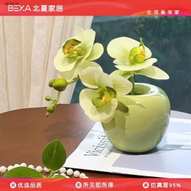BÌNH HOA LAN MINI DECOR sỉ 122k