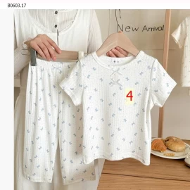 BỘ COTTON GIẤY HOA NHÍ-Giá sỉ 138k