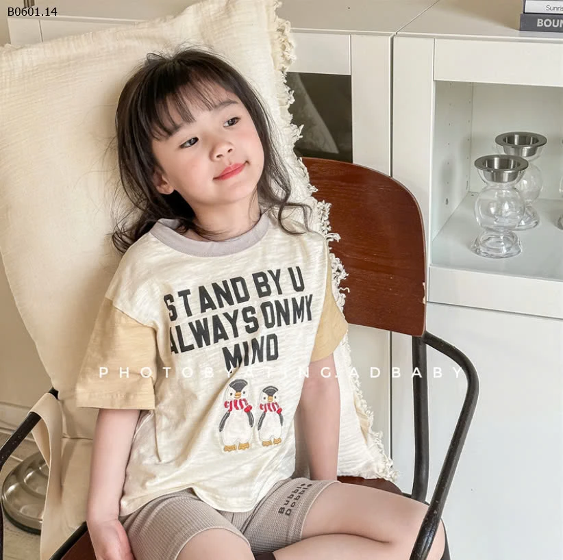 ÁO THUN CHIM CÁNH CỤT ADBABY-sỉ 128k