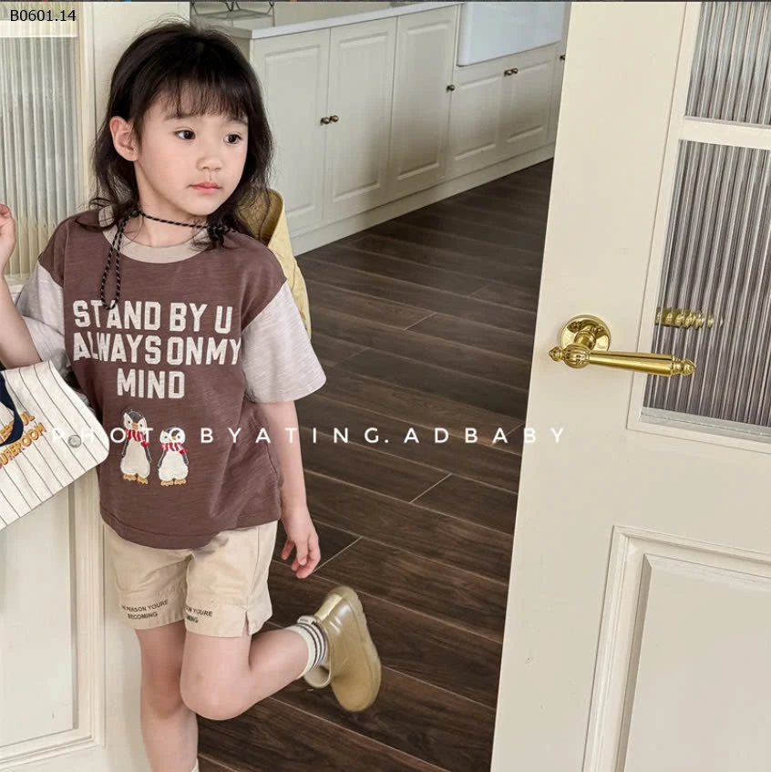 ÁO THUN CHIM CÁNH CỤT ADBABY-sỉ 128k