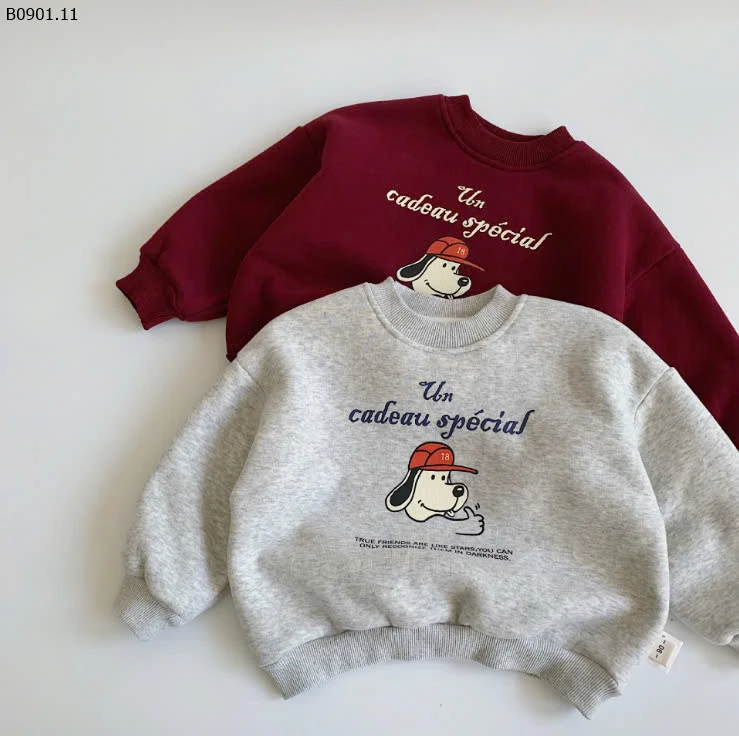 ÁO HOODIE CHO BÉ BCZY-sỉ 145k