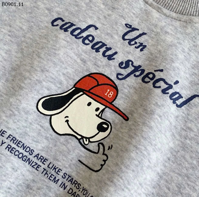 ÁO HOODIE CHO BÉ BCZY-sỉ 145k