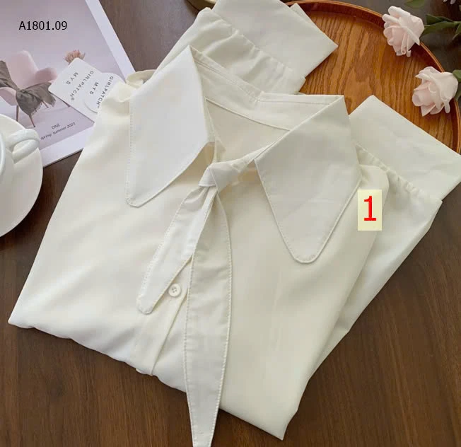 SƠ MI CAVAT NỮ sỉ 142k