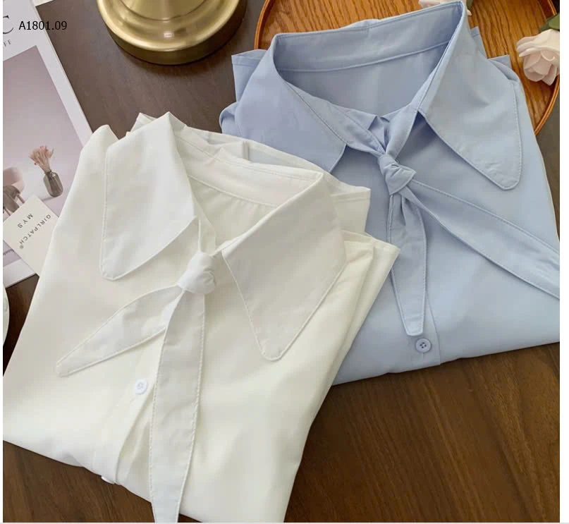 SƠ MI CAVAT NỮ sỉ 142k