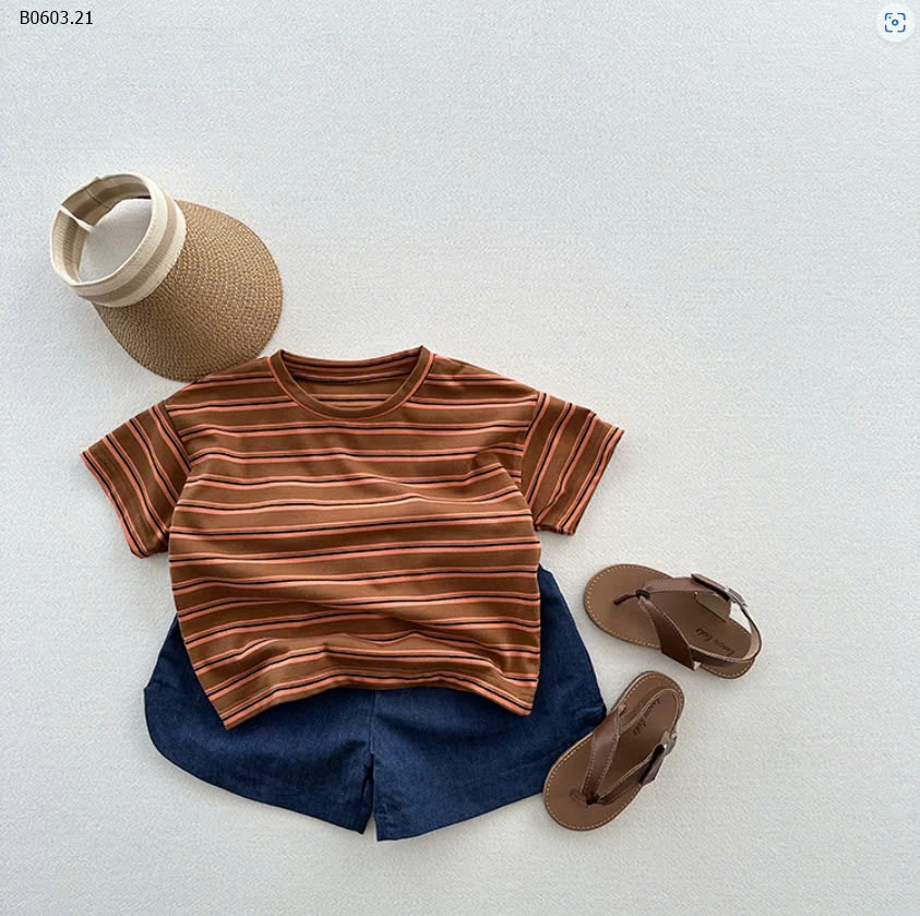 Áo phông dễ mix nhất quả đất -sỉ 114k