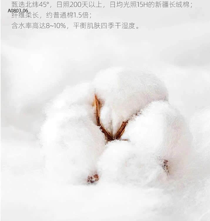 SET 6Q CHIP NỮ-sỉ 140k/set 6c mix màu