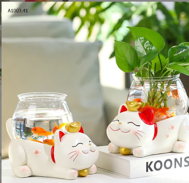 MÈO MAY MẮN-sỉ 190k