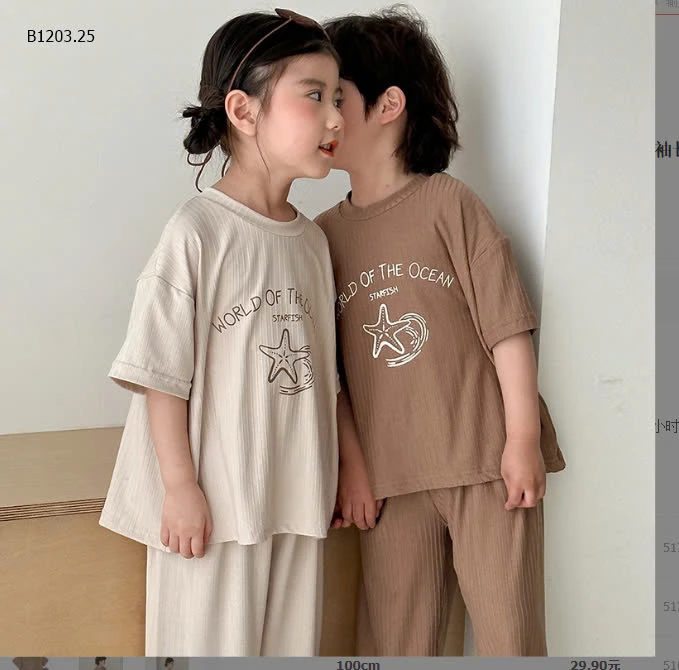 BỘ THUN GÂN CỘC TAY TONE VINTAGE -sỉ 144k