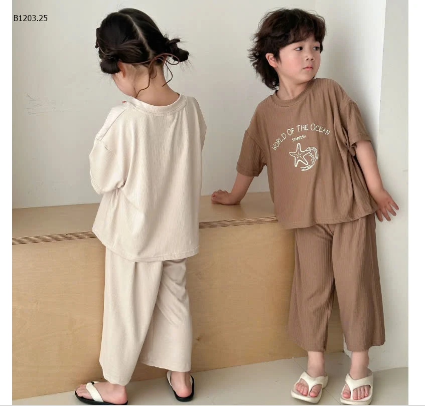 BỘ THUN GÂN CỘC TAY TONE VINTAGE -sỉ 144k