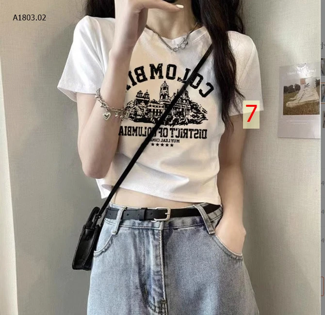 ÁO PHÔNG CROPTOP sỉ 94k