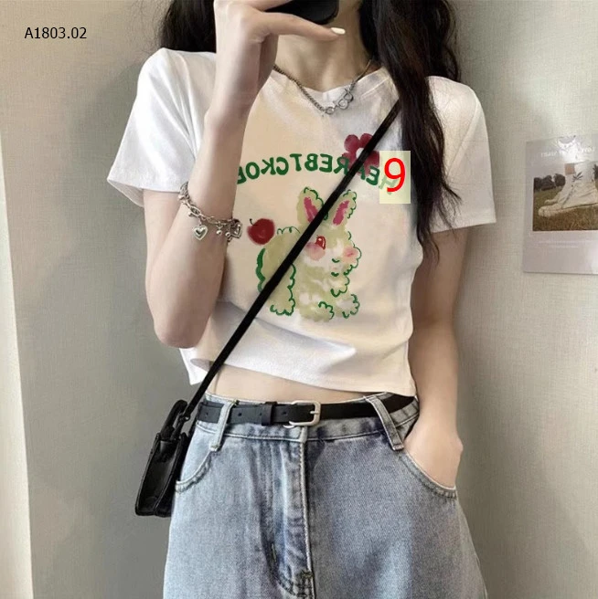 ÁO PHÔNG CROPTOP sỉ 94k