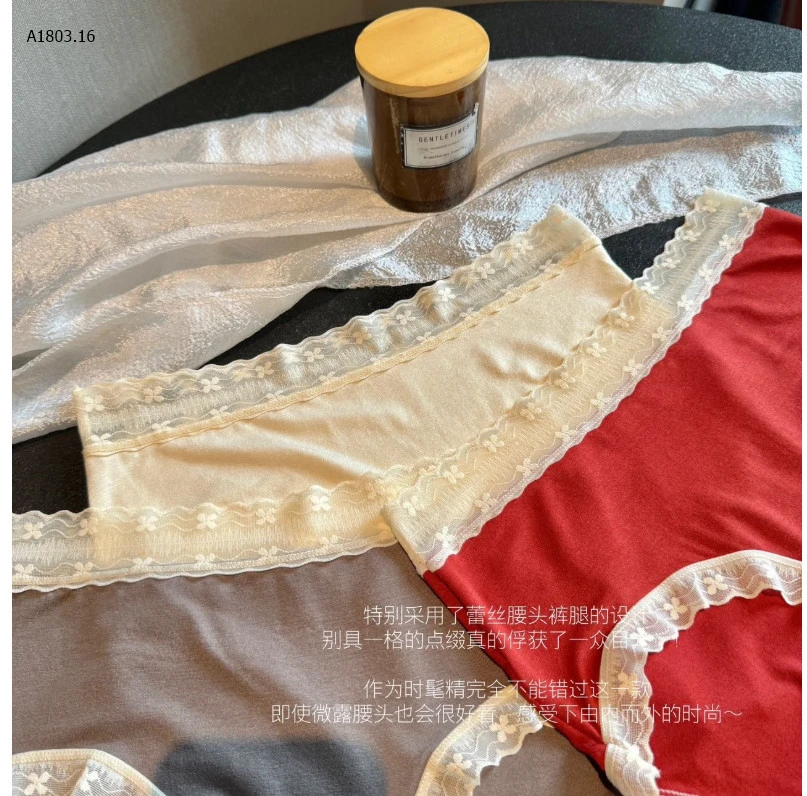 SET 6 QUẦN CHIP VIỀN REN NỮsỉ 140k/set 6c