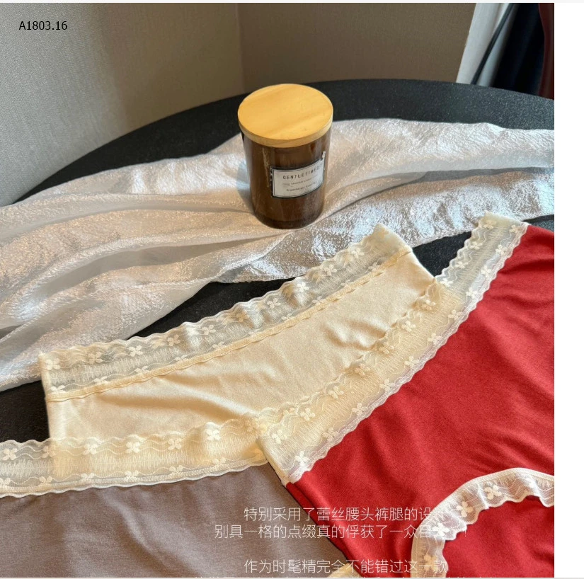 SET 6 QUẦN CHIP VIỀN REN NỮsỉ 140k/set 6c