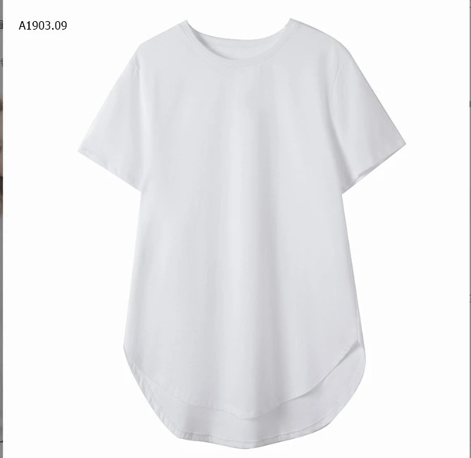 ÁO PHÔNG  CANVAS BASIC -sỉ 170k