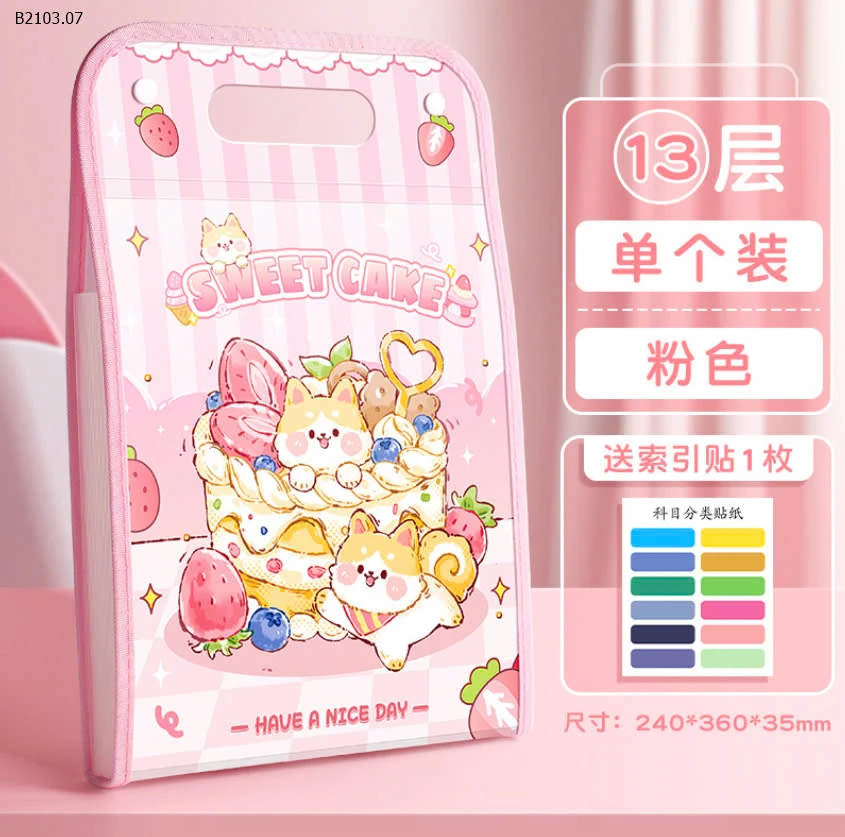 TÚI FILE ĐỰNG TÀI LIỆU -sỉ 45k