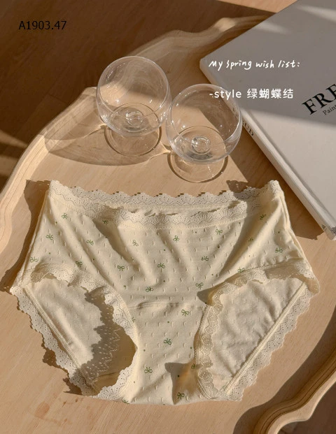 SET 5 QUẦN CHIP VIỀN REN THOÁNG KHÍ CHO NỮ -sỉ 123k/set 5c mix màu