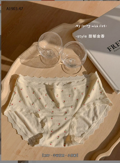 SET 5 QUẦN CHIP VIỀN REN THOÁNG KHÍ CHO NỮ -sỉ 123k/set 5c mix màu