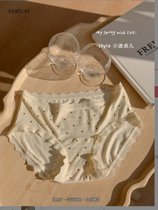 SET 5 QUẦN CHIP VIỀN REN THOÁNG KHÍ CHO NỮ -sỉ 123k/set 5c mix màu