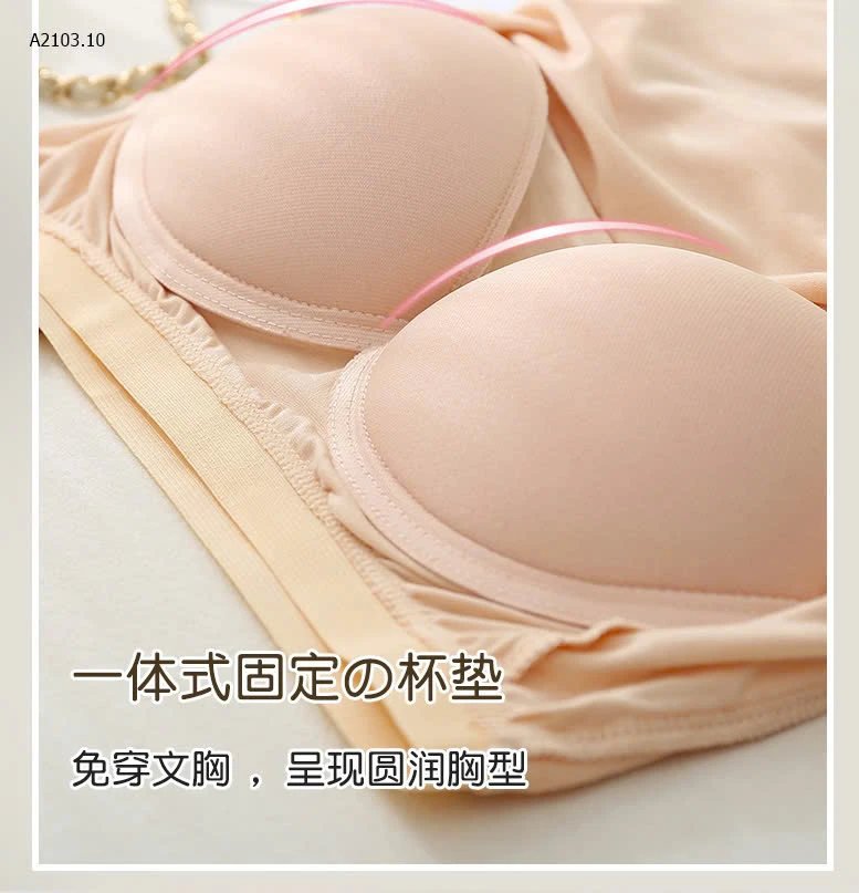 ÁO CỘC TAY KÈM BRA-sỉ 110k