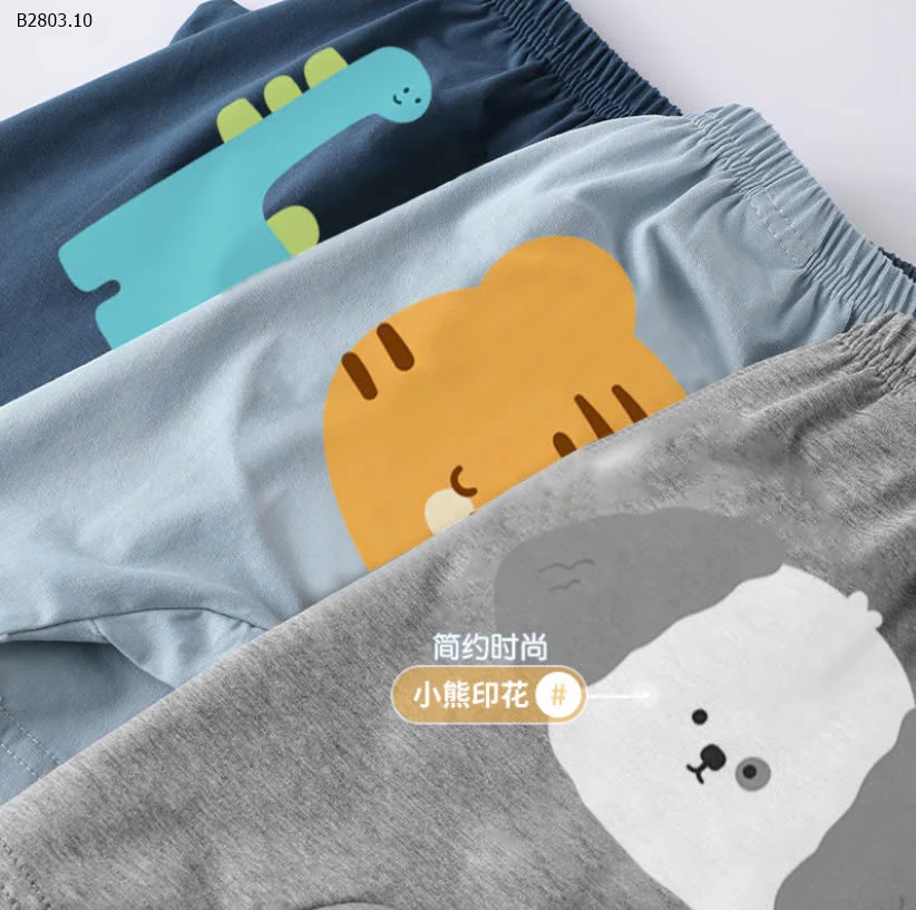 QUẦN ĐÙI IN HÌNH THÚ-sỉ 60k