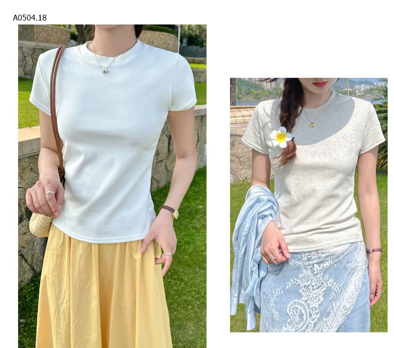 ÁO CỘC TAY NỮ -sỉ 103k