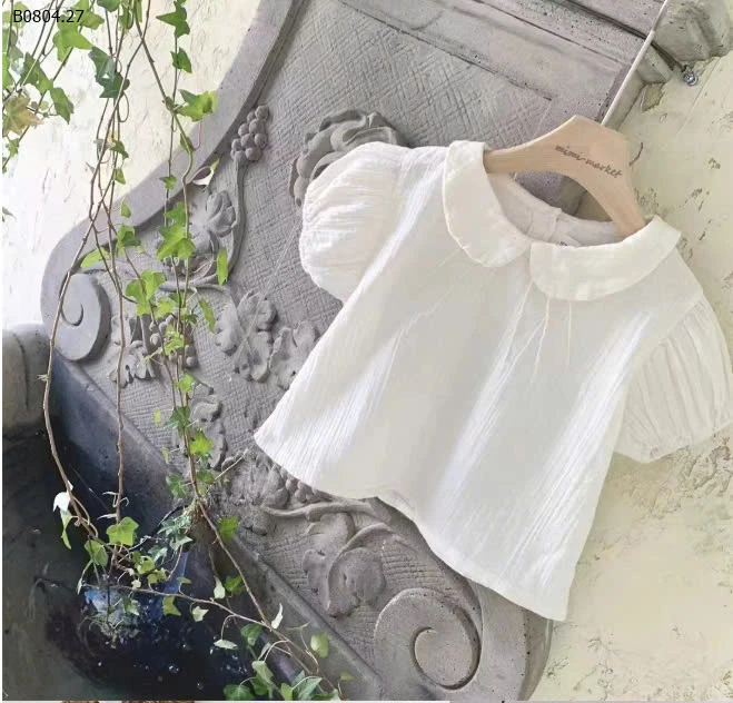 SƠ MI CỔ SEN SIZE NHÍ-sỉ 119k