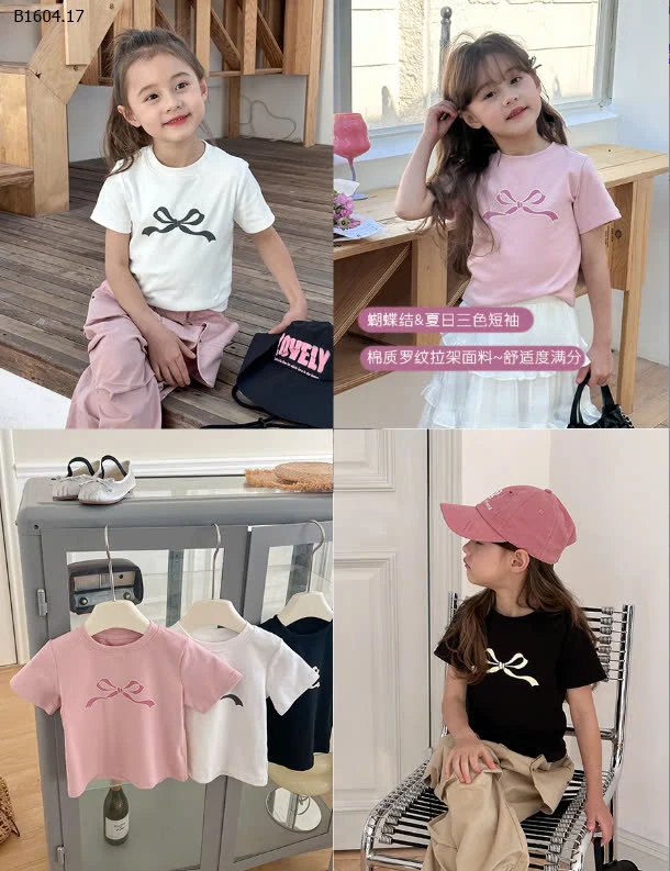 ÁO PHÔNG NƠ AMBB- sỉ 83k