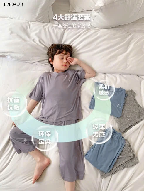 BỘ THUN BÉ TRAI MẶC HÈ8-sỉ 70k