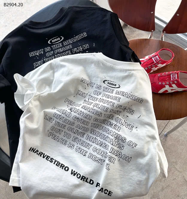 Áo phông chữ ambb -sỉ sz 90-150 : 95k            sz 160 : 105k