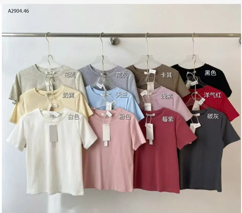 ÁO THUN TRƠN NỮ RS STUDIO-sỉ 99k