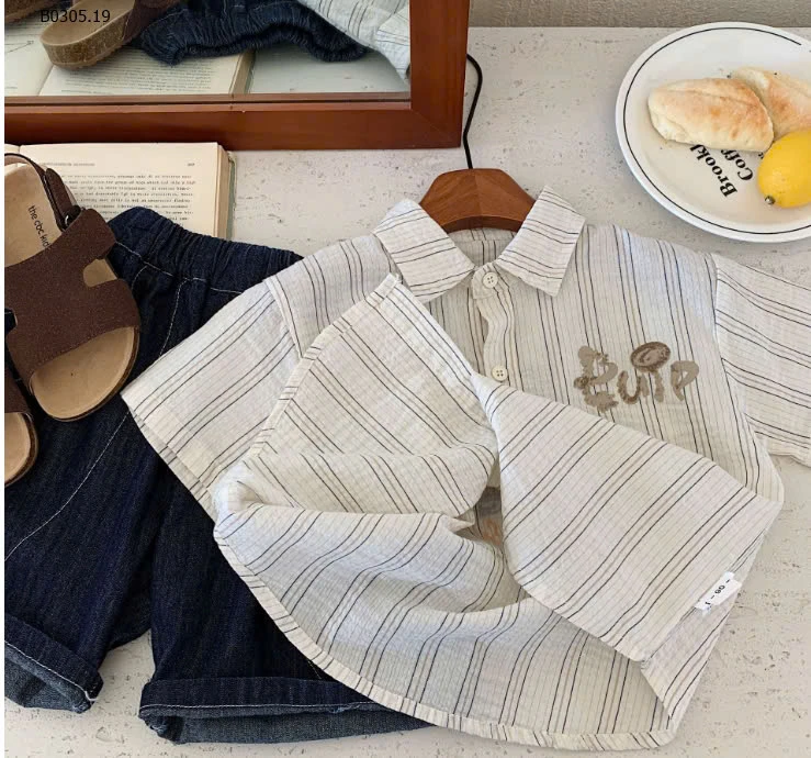 SƠ MI SỌC HĨNH VẼ LƯNG -sỉ 136k