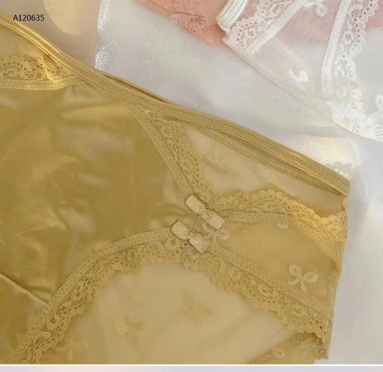 SET 5 QUẦN LÓT LỤA PHỐI REN NỮ   - Sỉ 105k/1 set 5 chiếc mix màu 