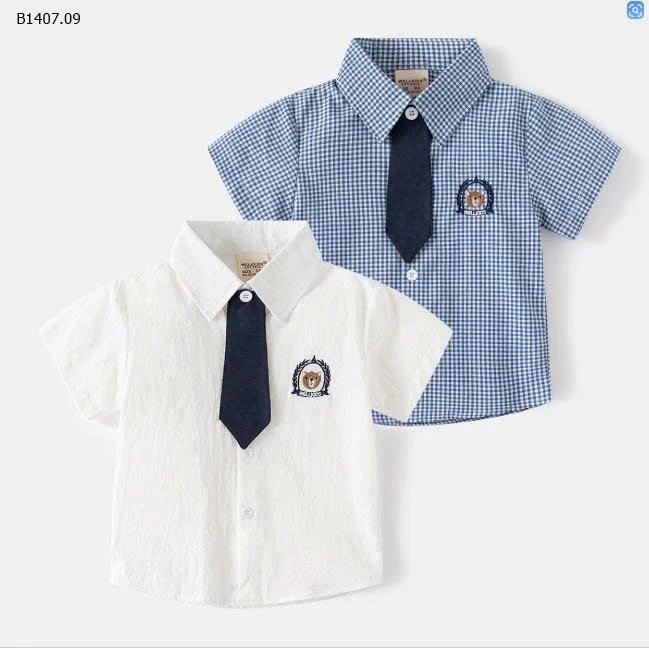  SƠ MI CỘC TAY NHÀ WAPYPY-Sỉ 99k