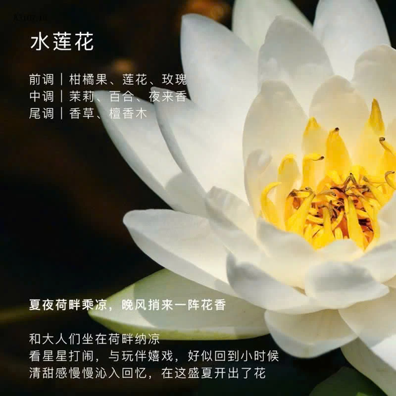 SET MỸ PHẨM MINI DU LỊCH - Sỉ giá 90k